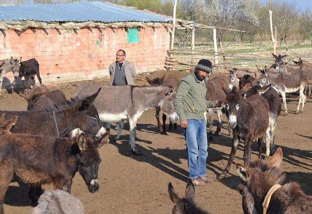<p>Taşçı, bu çiftliğin kendisine yaklaşık 80 bin liraya mal olduğunu belirtti.</p>
