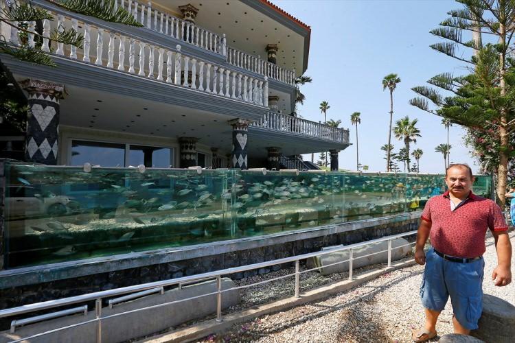 <p>Çeşme ilçesindeki evinin bahçesini 50 metre uzunluğundaki deniz akvaryumu ile çeviren iş adamı Mehmet Ali Gökçeoğlu, görsel amaçlı yetiştirdiği balıkların her birini 20 bin liraya mal ettiğini söyledi.</p>
