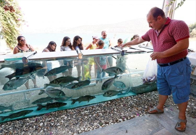 <p>Harita ve kadastro mühendisi Gökçeoğlu'nun 10 yıl önce Fenerburnu Koyu'ndaki evinin bahçesinden denizi görebilmek için bulduğu yöntem, "Balıklı Köşk"ün ortaya çıkmasını sağladı.</p>

