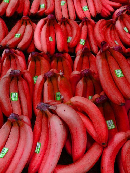 <p>İçerdiği B6 vitaminin eksikliğinde ise yorgunluk, şuur bulanıklığı, sinirlilik, uykusuzluk, kansızlık ve cilt dokusunun bozulması gibi durumlar oluşuyor.</p>