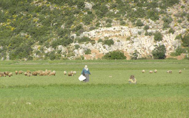 <p>Bezirgan Köyü - Kaş</p>

<p> </p>
