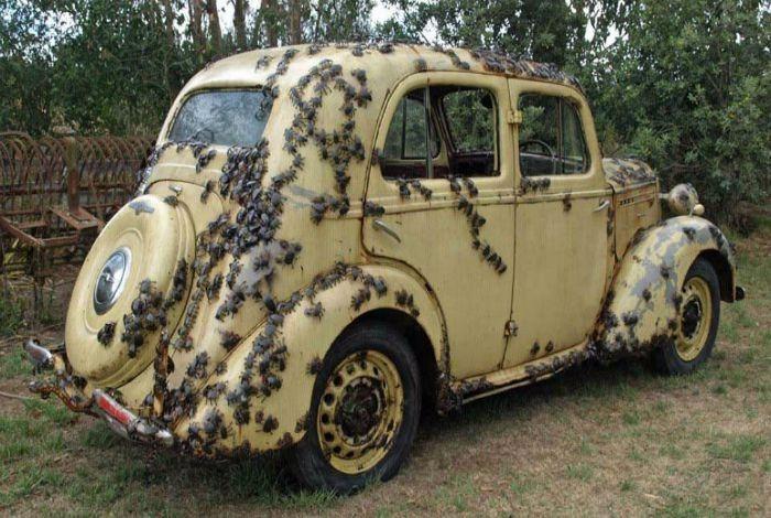 <p>Ya da arabanızı bu insanlar gibi &ccedil;&uuml;r&uuml;meye bırakmak zorunda kalabilirsiniz...</p>
