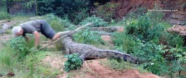 <p>Timsah adamı bacağından yakaladığı gibi yere fırlattı...</p>
<p> </p>