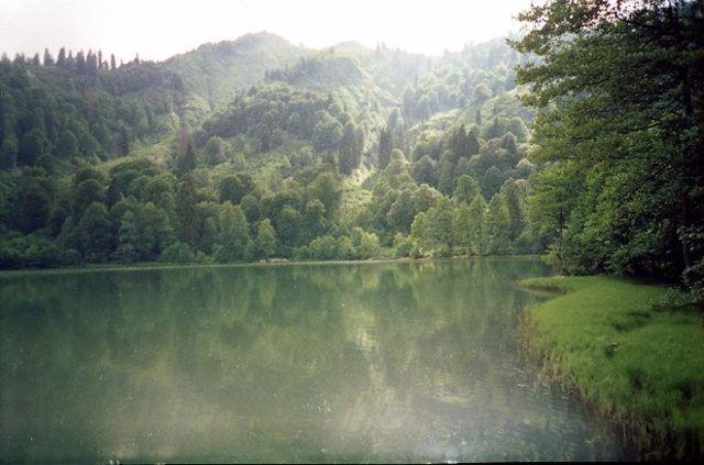 <p>Maçahel Yaylası </p>

<p>Artvin </p>
