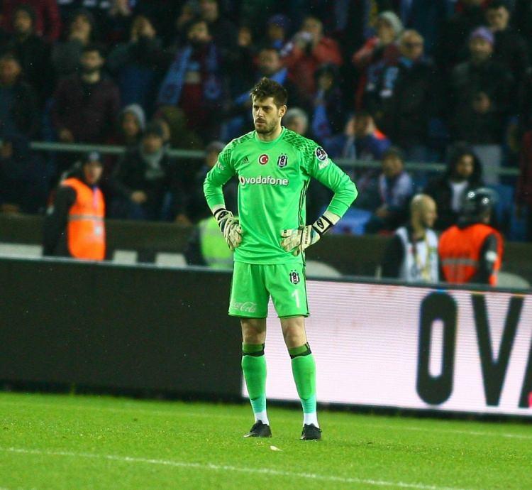 <p>Fabri</p>
