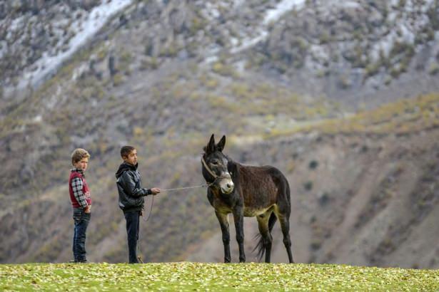 <p>Doğu Anadolu Bölgesi'nde havalar soğuyup yüksek kesimlere kar yağınca vatandaşları kışa hazırlık telaşı sardı.<br />
<br />
<strong><span style="color:#FFD700">Fotoğraflar: Özkan Bilgin (Van / Anadolu Ajansı)</span></strong></p>
