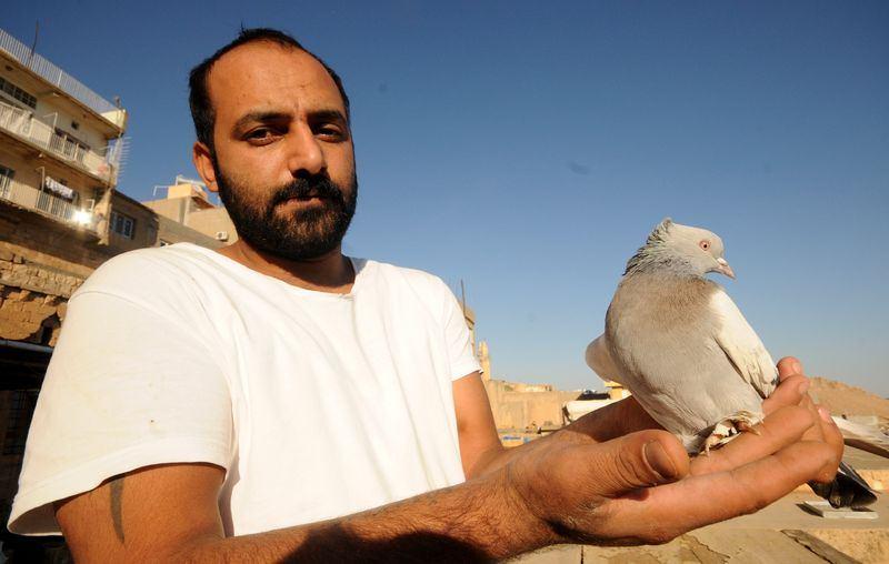 <p>Çan sesinin ezan sesine karıştığı, çok sayıda medeniyete ev sahipliği yapan, kardeşlik ve hoşgörünün sembolü Mardin'e özgü güvercinlerin tescili için başvuruda bulunuldu </p>