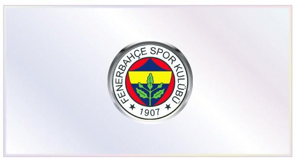 FENERBAHÇE : Gelenler => Joseph Yobo (Everton), Krasiç (Juventus), Dirk Kuyt (Liverpool), Hasan Ali Kaldırım (Kayserispor), Salih Uçan (Bucaspor), Mehmet Topal (Valencia), Egemen Korkmaz (Beşiktaş) Gidenler => Ertuğrul Taşkıran (Kayserispor), Okan Alkan (Bucaspor), Emre (Atletico Madrid), Bilica (Elazığspor), Reto Ziegler