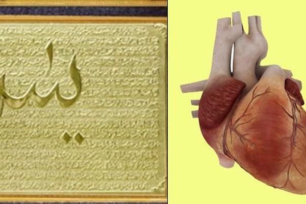 Yani Hz. Muhammed bize `Yasin Kuran`ın kalbidir` derken, kalbin insan vücudunda nerede olduğunu da bildiriyor.

