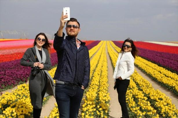 <p>Türkiye'nin birçok şehrinden bu renk cümbüşünü görmeye gelen ziyaretçileri olduğunu belirten Gürses, "Doğa ve fotoğraf tutkunları adeta buraya akın ediyor. Lise ve üniversitelerden öğrenci grupları bahçemizi ziyarete geliyor. İki gün boyunca gelen fotoğraf meraklıların ilgisiyle, bahçe doğal stüdyo haline geliyor. Onlar için güzel fotoğraflar çekebilecekleri bir manzara oluşuyor." diye konuştu.</p>

<p> </p>
