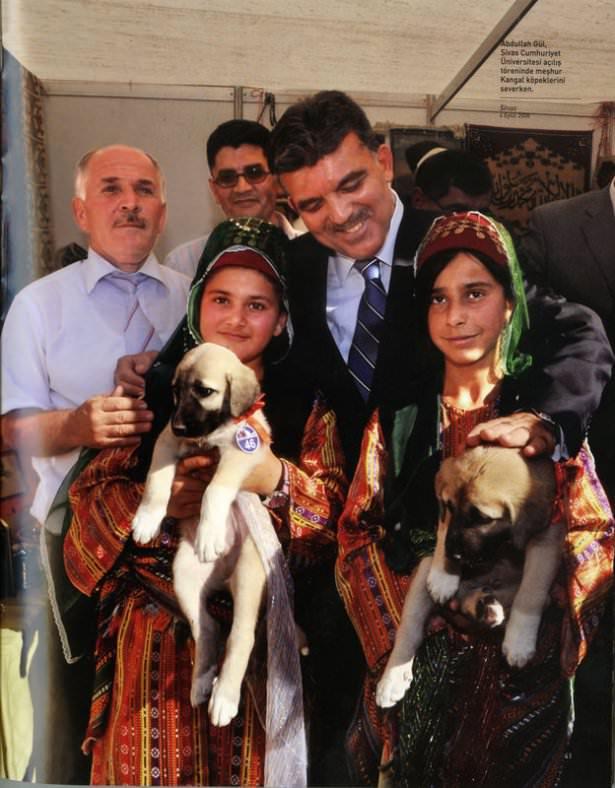 <p>Abdullah Gül, Sivas Cumhuriyet Üniversitesi açılış töreninde meşhur Kangal köpeklerini severken. (Sivas-4 Eylül 2008)</p>