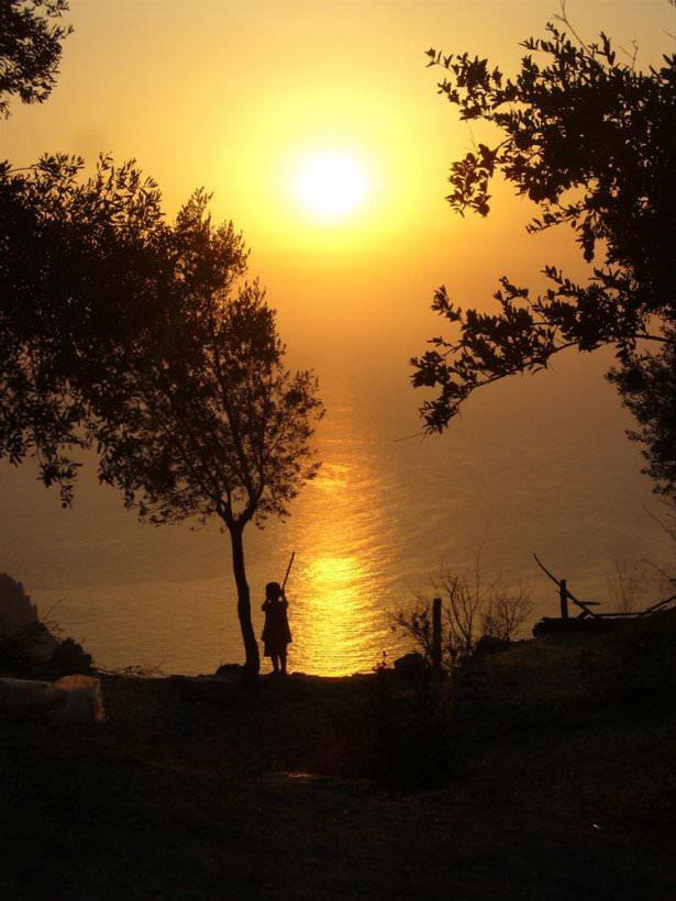 <p>Faralya</p>
