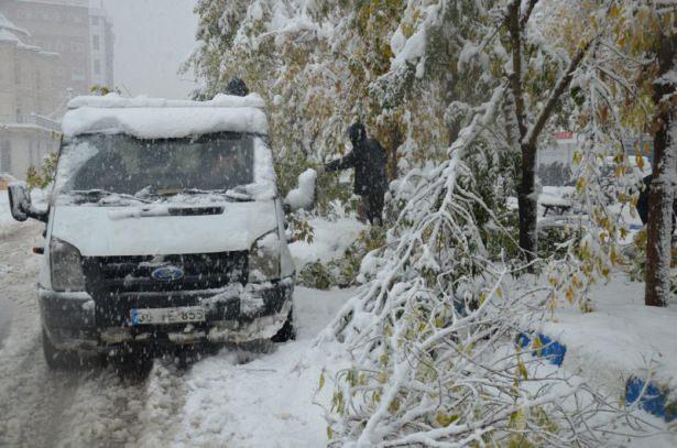 <p>HAKKARİ</p>
