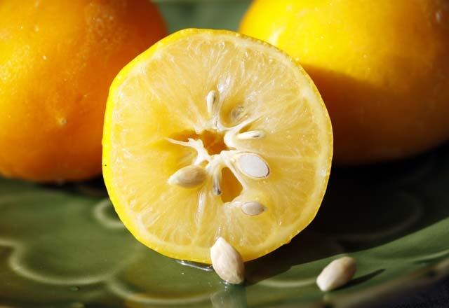 <p>İşte limon dilimlerini yatağınızın başucuna koyduğunuzda sağlayacağı faydalar…</p>
