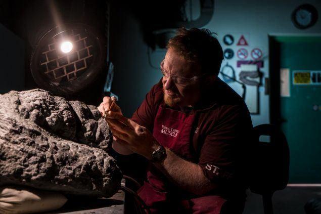 <p>National Geographic'teki makalenin yazarı Michael Greshko, "Bu derecede iyi bir korunmuşluk, piyango kazanmak kadar düşük bir ihtimal. Ona ne kadar çok baksam o kadar aklım başımdan gidiyor.</p>

<p> </p>
