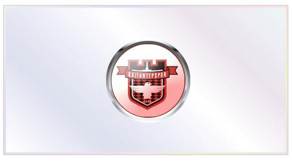 <b>GAZİANTEPSPOR</b> : Gelenler => Senijad Ibricic (Lokomotiv Moskau), Kemal Tokak (İBB Spor), Ivan Kecojevic (OFK Belgrad), Gilles Binya (Neuchâtel Xamax), Serdar Özbayraktar (Eskişehirspor), Ekrem Dağ (Beşiktaş) Gidenler => Dany (Galatasaray), Sezer Badur (Elazığspor), Elyasa (Kasımpaşa), Binya