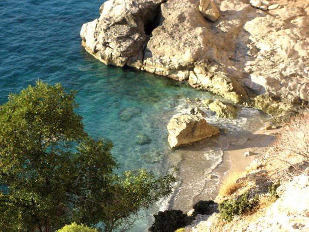 <p>Faralya</p>
