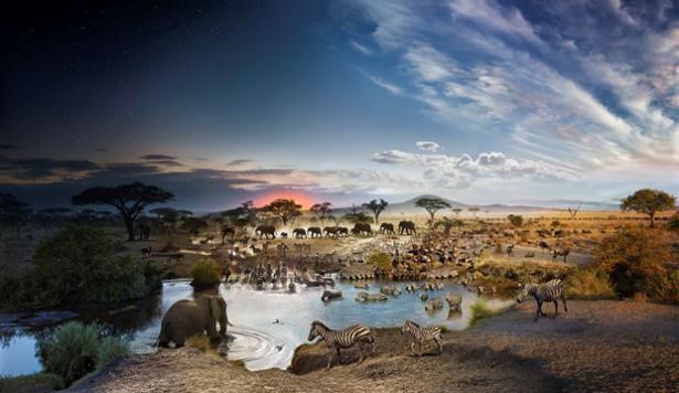 <p><strong>Serengeti Milli Parkı, Tanzanya</strong></p>
<p>ABD'li fotoğraf sanatçısı Stephen Wilkes, yaptığı çalışmayla 24 saati bir fotoğraf karesine sığdırmayı başardı.</p>