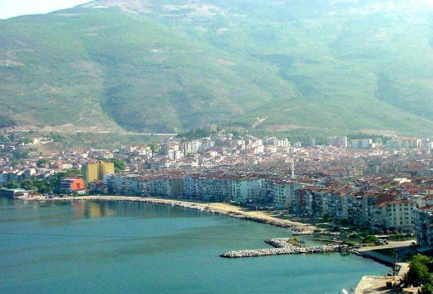<p>Gemlik - 138 adet</p>