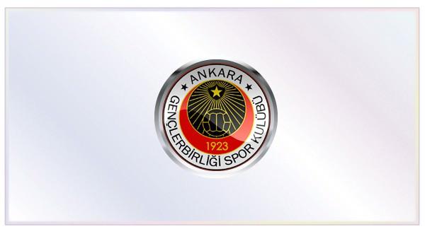 Gelenler: İlkay Durmuş (Stutgart), Mehmet Kara (Paderborn), Dusko Tosiç (Kızılyıldız)   Gidenler: Ergün Teber (Antalya), Yasin Öztekin ve Soner Aydoğdu (Trabzonspor), Mehmet Akgün (Beşiktaş), Herve Tum (Elazığspor), Serkan Çalık (Ankaraspor)