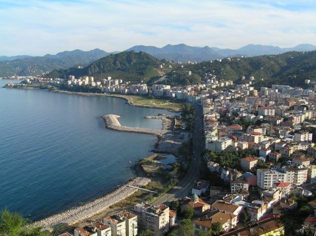 GİRESUN: Ahududu, böğürtlen ve çilek, sebze seracılığı, süs bitkisi, yem pancarı, ceviz ve ıhlamur ağacı, kültür mantarı, somon balığı, arıcılık, besicilik, tavukçuluk, odun briketi, patates cipsi, mısır çerezi, fındık esaslı çikolata, kakaolu mamuller, seylan tipi veya aromalı çay, reçel, bal paketleme, su şişeleme, katı atık, beton kiremit, ahşap ve fiber tekne.