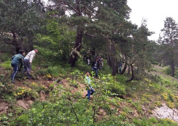 <p>Giresun'un Alucra İlçesi'ndeki karakollarda bayramlaşma ve şehit ailelerini ziyaretten dönen askerler ve yakınlarını taşıyan ve sis yüzünden Tohumluk Yaylası'nda sarp araziye düşen Sikorsky S- 70 tipi helikopterde yaşamını yitiren 7 kişiden 6'sının kimliği şöyle:</p>

<p>Giresun İl Jandarma Komutan Vekili Yarbay Sadettin Şahin, Pilot Yüzbaşı Hilmi Özer, Bölge Komutanı Tuğgeneral Mustafa Doğru'nun eşi Nuran Doğru, kızı Berrin Doğru, Kurmay Başkanı Kurmay Albay Ünal Bayhan'ın eşi Didem Bayhan ve Uzman Çavuş Adem Kara'nın eşi Sema Kara. Durumu ağır olan Giresun Jandarma Bölge Komutanlığı Kurmay Başkanı Kurmay Albay Ünal Bayhan Erzincan Devlet Hastanesi'ne, Astsubay Üstçavuş Cemalettin Çoban Giresun Devlet Hastanesi'ne Jandarma Pilot Üsteğmen Yüksel Kandemir Sivas Cumhuriyet Üniversitesi Tıp Fakültesi'ne sevk edildi. Hayati tehlikesi bulunmayan Giresun Jandarma Bölge Komutanı Tuğgeneral Mustafa Doğru, Uzman Çavuş Adem Kara, Astsubay Teknisyen Üstçavuş Muharrem Demir, Kurmay Başkanı Ünal Bayhan'ın oğlu Erdal Bayhan Yağlıdere Devlet Hastanesi'ne, Kurmay Başkanı Ünal Bayhan'ın kızı Işıl Bayhan, Komutan Vekili Sadettin Şahin'in eşi Nihal Şahin ise Alucra Devlet Hastanesi'nde tedavi görüyor. </p>

<p><strong>GENELKURMAY AÇIKLAMASI</strong><br />
Giresun'da düşen Sikorsky S-70 helikopteriyle ilgili Genelkurmay Başkanlığı'ndan yapılan açıklama 7 kişinin hayatını kaybettiği, 8 kişinin ise yaralandığı belirtildi. Genelkurmay Başkanlığı'nın açıklaması şöyle:<br />
"5 Temmuz 2016 Salı günü, zor şartlarda görev yapmakta olan karakol personeli ve aileleri ile bayramlaşmak ve onlarla birlikte olmak maksadıyla, Giresun-Alucra ve Gümüşhane - Kozağaç Jandarma Karakollarını ziyareti müteakip, Giresun’a dönerken saat 17.15 sularında bir adet Sikorsky helikopteri, Giresun-Alucra ilçesi Tohumluk Köyü mülki sınırları içerisinde henüz tespit edilemeyen bir nedenle düşmüştür. Söz konusu elim olay neticesinde; saat 22.00 itibariyle helikopterde bulunan silah arkadaşlarımız ile eşleri ve çocuklarından yedi kişi maalesef hayatını kaybetmiş, yaralanan sekiz kişi ise derhal bölgedeki hastanelere sevk edilmişlerdir. Konuyla ilgili gelişmeler kamuoyu ile paylaşılacaktır. Bizleri derin bir acı ve üzüntüye boğan bu elim olayda hayatını kaybeden personelimiz ve aile fertlerine Allah’tan rahmet, değerli ailelerine, yakınlarına, Türk Silahlı Kuvvetleri ile Yüce Türk Milletine başsağlığı ve sabır, yaralılarımıza acil şifalar diliyoruz." </p>

