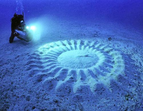 <p>Dalgıçlar Japonya'da denizin derinliklerinde ilginç geometrik-şekiller gördüler.</p>

