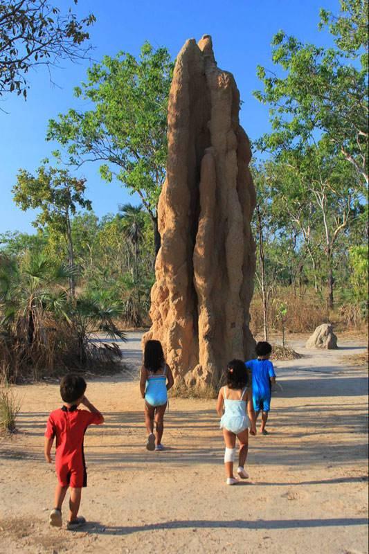 <p>İlk bakışta doğadan bir kaya gibi görünen yuvalar, adeta gizli şehirler şeklinde inşa edilmiş. Sürekli değişen iklim şartlarına da uyum sağlıyor.</p>

<p> </p>
