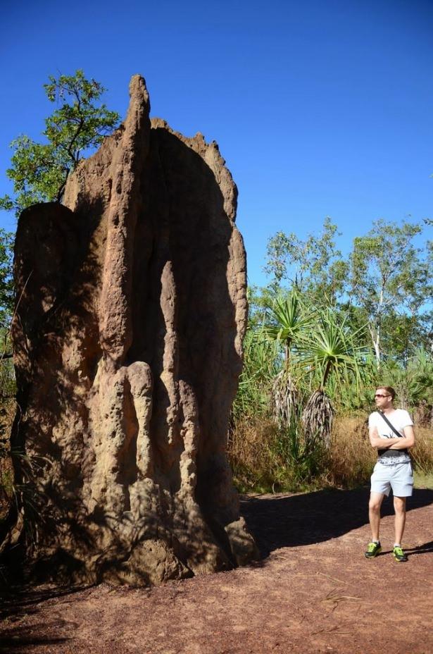 <p>Termitler, havalandırma sistemiyle yaptıkları yuvalarda özel odalar inşa ediyor. Şehirdeki bireylerin bütün ihtiyaçlarını kendi içlerinde karşılayabilecek, dışarıdan alışverişe ihtiyaç duymayacak bir düzen var. Yuvaların içinde çocuk odaları, kuluçka odası, kraliçe odası, tarım alanları bulunuyor. Bu yuvaları yıkmak ise neredeyse imkânsız. Kimi bölgelerde kaldırılması gereken yuvaları dışarıdan balyozla bile yıkmak mümkün değil. Yuvalara özel yöntemlerle yer altından girilip, içeriden balyozla yıkılıyor.</p>

<p> </p>
