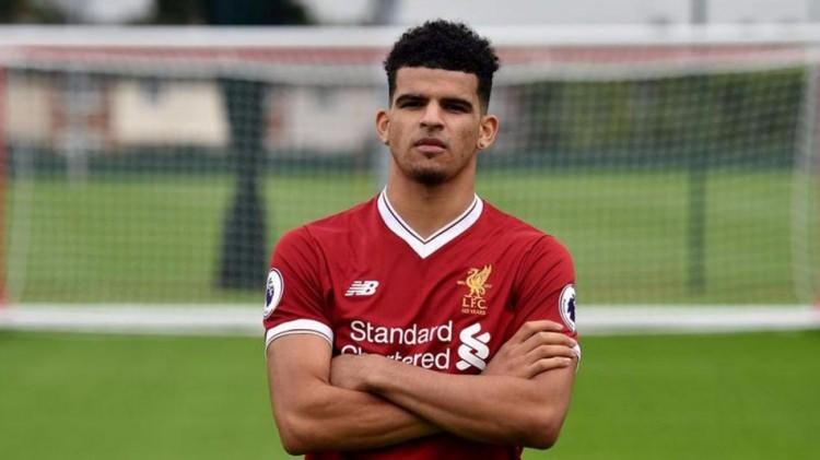 <p><strong>DOMINIC SOLANKE</strong></p>

<p><strong>Yaş:</strong> 20</p>

<p><strong>Kulübü:</strong> Liverpool</p>

<p><strong>Pozisyon:</strong> Forvet</p>

<p><strong>Değeri:</strong> 3 milyon euro</p>
