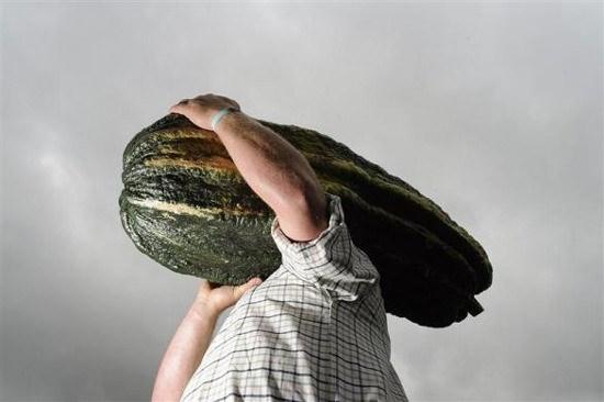 <p>&Ccedil;ift&ccedil;iler yetiştirdiği sebzeler Guinnes Rekorlar Kitabına girdi</p>

<p>&nbsp;</p>
