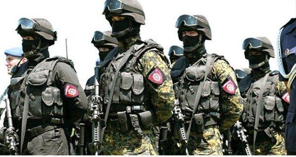 <p>Sırp Jandarma Kuvvetleri</p>