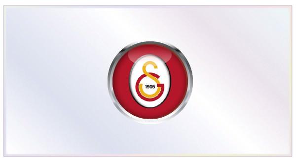 Gelenler: Dany (Gaziantepspor), Umut Bulut (Toulouse), Burak Yılmaz (Trabzonspor), Hamit Altıntop (Real Madrid) Nordin Amrabat (Kayserispor)   Gidenler: Ayhan Akman, Servet Çetin, Bogdan Stancu (Orduspor)