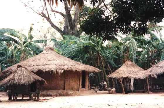 Yoksul ve siyasi istikrardan yoksun küçük ülkeler de kara para aklayıcıların işine yarayabiliyor. Son yıllarda "narko-ülke" olarak anılan Guinea Bissau'nun durumu bu konuda sıklıkla gündeme geliyor.