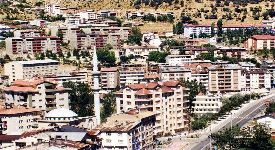 GÜMÜŞHANE: Madencilik, HES, organik tarım, çimento, gıda sanayi, yayla ve kış turizmi, reçel, süt mamulleri, su şişeleme, hazır giyim, çorap, el halıcılığı, alçı, styropor, teneke kutu.