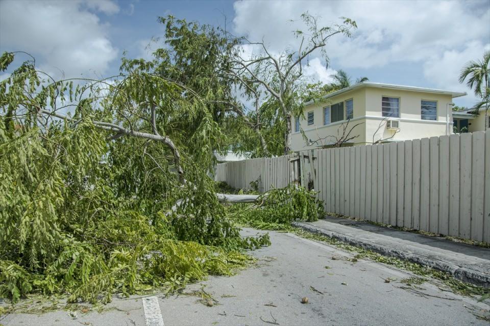 <p>Kasırganın ardından Florida'da 13 milyon kişiye, bir başka deyişle eyalet nüfusunun üçte ikisine elektrik verilemiyor, 180 bin kişi barınaklarda kalıyor. </p>

<p> </p>
