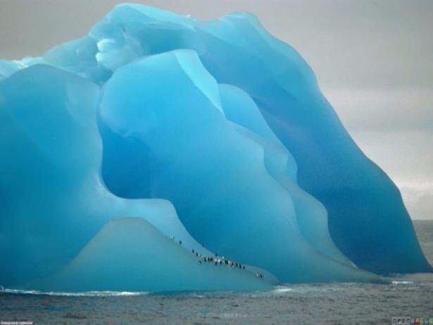 <p>Bir buzdağının üzerindeki penguenler</p>

<p> </p>
