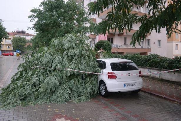 <p>İlçe merkezinden geçen Kanlıdere taştı, Moymul Mahallesi'nde bir otomobilin üzerine ağaç devrildi.</p>
