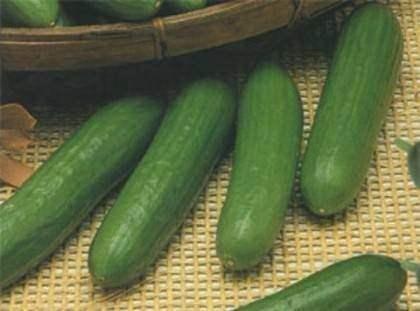 <p>Salatalığın yüzde 96'sı sudur.</p>
<p> </p>