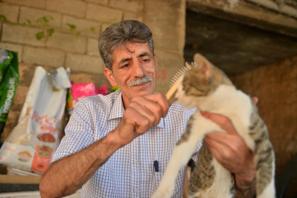 <p>Şafak Mahallesi Muhtarı Turğut, yaklaşık 3 yıl önce kızı Zehra Nur'un sokakta ayağı kırık halde bulup eve getirdiği kediyi iyileştirip bakımını üstlendi. Böylece bu hayvanlara karşı sevgi duyan Turğut, 30 kediyi daha evinde beslemeye başladı.</p>

<p> </p>
