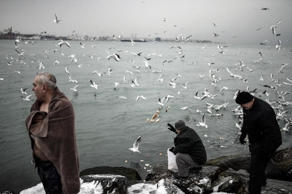 <p> İstanbul'da etkisini gösteren soğuk havada hayvanları unutmayan vatandaşlar Sarayburnu'nda kedileri ve martıları besledi. </p>