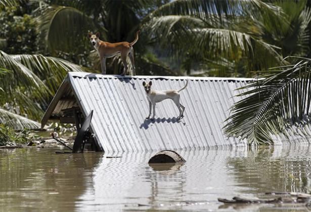 <p>Sel felaketi, derme çatma evlerden oluşan kasabaları su altında, binlerce Arakanlıyı da yardıma muhtaç bıraktı.</p>
