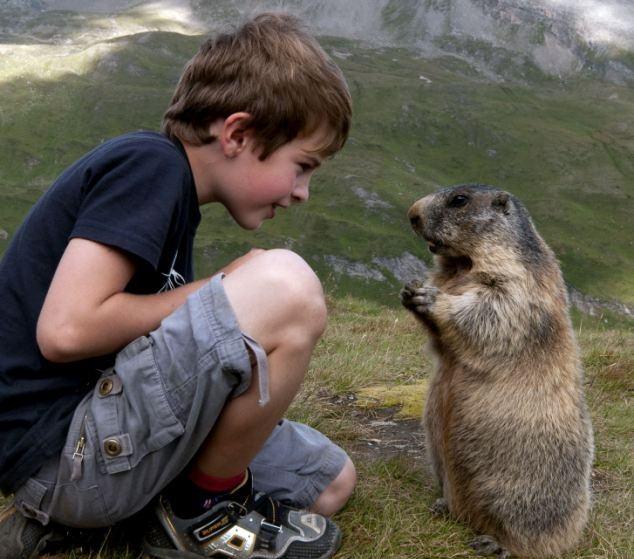 <p>Marmotlarla her gittiğinde dostluğu daha da kuvvetlenen Matteo her ziyarete gittiğinde onlara sarılıyor, öpüyor ve besliyor.</p>
