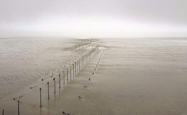 <p>Marten, İngiltere kıyılarında yaşanana “gelgit” nedeniyle su seviyesinin çekilmesininin sonuçlarını böyle görüntüledi.</p>
