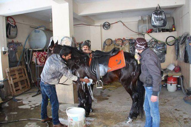 <p>Çelik Kardeşler Oto Yıkama'da tazyikli suyla yıkamaya getiren Musaoğlu, oto yıkama çalışanları şaşkınlıkla karşıladı. Yıllardır araç yıkadığını dile getiren oto yıkamacı Muhammet Vergül , "Yıllardır oto yıkama işi yapıyorum. Bu güne kadar hep araç yıkadım. İlk kez bir at yıkıyorum" diyerek şaşkınlığını gizlemedi.</p>

<p>​</p>
