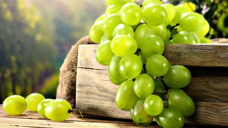 <p>Bir porsiyon üzüm 15 adet iri üzümden oluşuyor ve gün içinde bu sayının aşılmaması gerekiyor. Karaciğer yağlanması olanlar ve hamileler üzümü diyabet hastaları gibi dikkatli tüketmeli" diyor.</p>