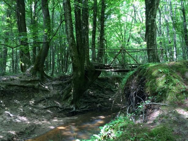 <p>İğneada, bağlı olduğu ilçeye 26, Kırklareli merkezine 100 kilometre uzaklığıyla turizm açısından gelişime açık ve potansiyeli yüksek bir konumda.</p>
