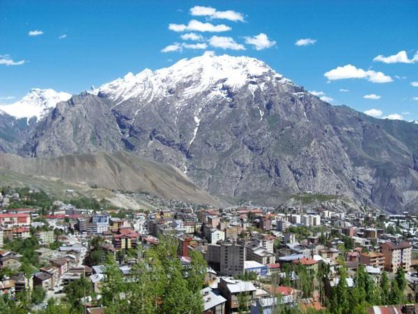 HAKKARİ: Baraj ve HES, RES, madencilik (asfaltit, krom, kömür, kuvars kristalleri, kurşun, arsenik madeni, kükürt, talk, titanyum, çinko, katı petrol) hayvancılık, Şemdinli balı, arıcılık, ceviz, asma, alabalık yetiştiriciliği, doğa sporları, yayla turizmi, Cilo buzullarının turizm amaçlı değerlendirilmesi, Sat Gölleri ve Kaya Resimleri Bölgelerine yönelik turizm yatırımları