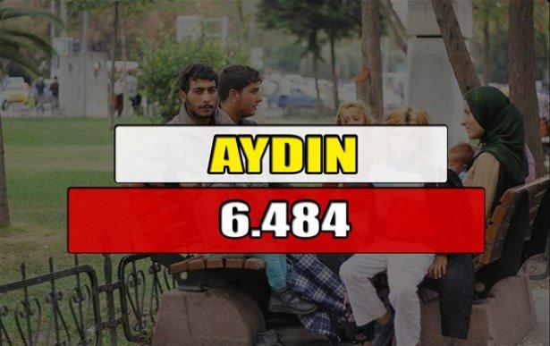 <p>AYDIN</p>
