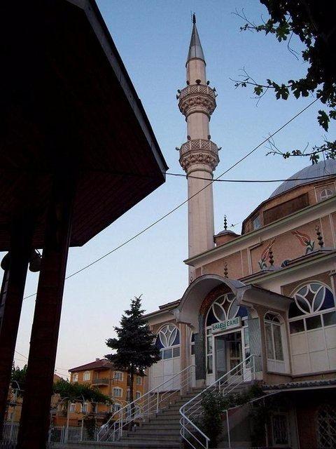 <p>Kütahya<br />
1,206</p>

<p> </p>
